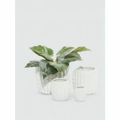 Graydon Living Fluted Ceramic Planters, Set Of 4 Plants & Planters