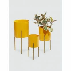 Graydon Living Indoor Metal Planters, Set Of 3 Plants & Planters