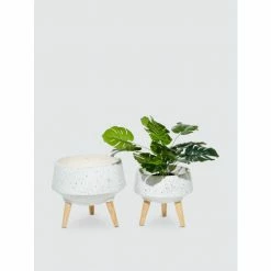 Graydon Living Textured Marble-Look Fiber Clay Planters, Set Of 2 Plants & Planters