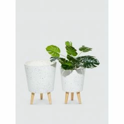 Graydon Living Speckled Planters, Set Of 2 Plants & Planters