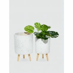 Graydon Living Cylindrical Planters, Set Of 2 Plants & Planters