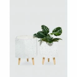 Graydon Living Marble Textured Hexagonal Planters - Set Of 2 Plants & Planters