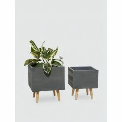 Graydon Living Textured Rectangular Fiberclay Planters - Set Of 2 Plants & Planters