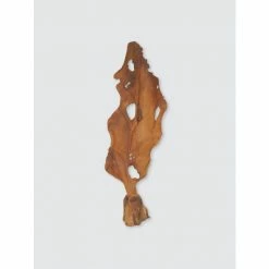 Graydon Living Teak Wood Leaf Sculpture Art