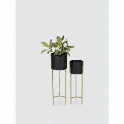 Graydon Living Tall Metal Planters, Set Of 2 Plants & Planters