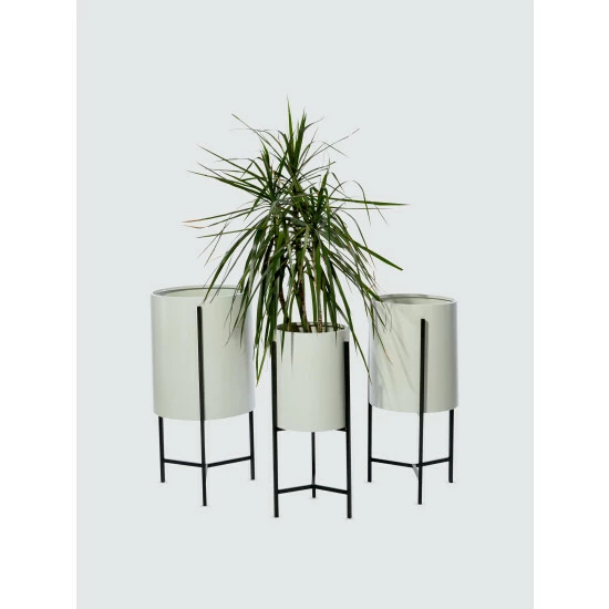 Graydon Living Cylindrical Planters, Set Of 3 Plants & Planters - Image 2