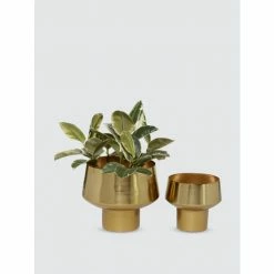 Graydon Living Metallic Footed Planters, Set Of 2 Plants & Planters