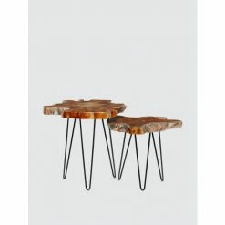 Graydon Living Organic Accent Tables, Set Of 2 Coffee & Side Tables