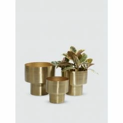 Graydon Living Gold Metallic Planters, Set Of 3 Plants & Planters
